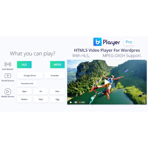 bzplayer Pro – Live Streaming Player WordPress Plugin