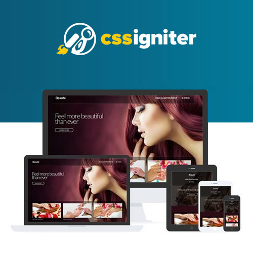 css igniter beaute wordpress theme - WordPress and WooCommerce themes and plugins, available under GPL license starting from $5 -