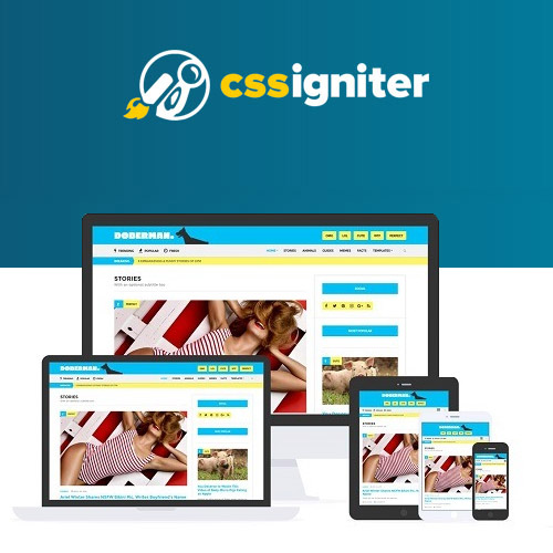 css igniter doberman wordpress theme - WordPress and WooCommerce themes and plugins, available under GPL license starting from $5 -
