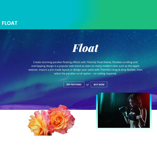 themify float wordpress theme - WordPress and WooCommerce themes and plugins, available under GPL license starting from $5 -