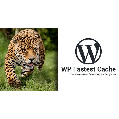 wp fastest cache wordpress plugin - WordPress and WooCommerce themes and plugins, available under GPL license starting from $5 -
